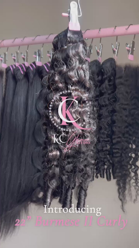 Burmese II Curly